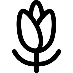 Tulip Vector Icon