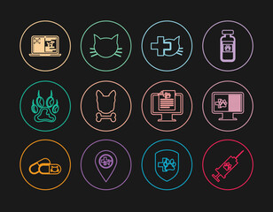 Set line Syringe with pet vaccine, Clinical record on monitor, Veterinary clinic, Dog and bone, Paw print, dog laptop, and Cat icon. Vector