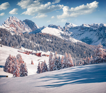 Untouched winter landscape. Bright outdoor scene of Dolomite Alps with first snow cowered larch trees. Amazing morning view of Alpe di Siusi village, Italy. Traveling concept background.