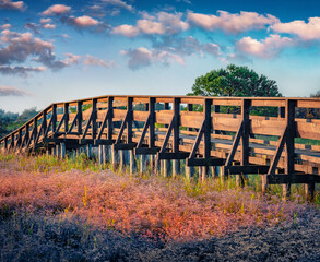 Warm morning light illuminated wooden bridge in Giardino Botanico Litoraneo di Porto Caleri -...