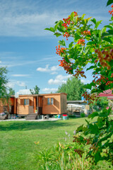 A viburnum bush with red ripe berries with selective focus on it in a cozy place with bungalow for rest and relaxation.