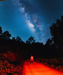 Night scene milky way background,Trees Against Sky At Night