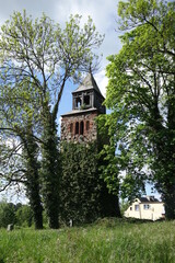 Fototapeta na wymiar Old tower covered in ivy