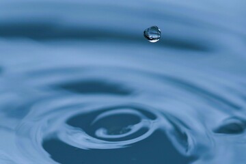 Drops of water fall into the water, creating a circular wave.