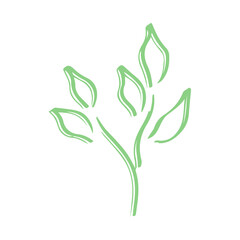 Botanical plant abstract hand drawn