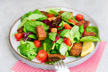 Healthy salad with roasted tempeh, fresh cherry tomatos, beetroot straws, spinash and lettuce leaves on plate. Tempeh is fermented soy bean. Plant based protein. Healthy Cooking and eating. Go vegan.