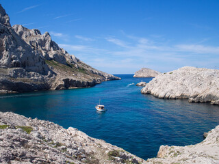 Fototapeta premium OLYMPUS DIGITAL CAMERA