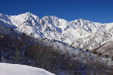 Fototapeta premium Winter scenery in Hakuba, Nagano
