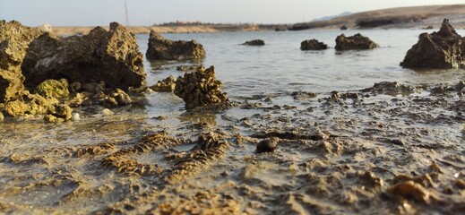 beach