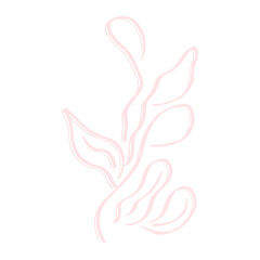 Botanical plant abstract hand drawn