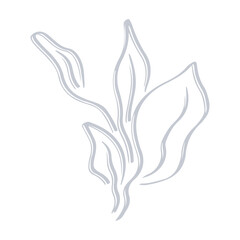 Botanical plant abstract hand drawn