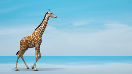 3d illustration of alone wild giraffe on sky blue background 