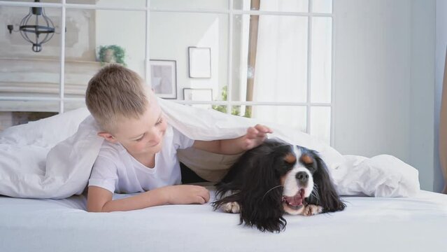 happy caucasian boy in a white t-shirt lies on a bed under a blanket in the bedroom hugs a dog and strokes it, a child dog plays emotionally. Childhood. Pets. Take care of love for pets. medium plan