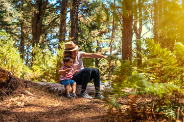 A mother with her son sitting on a tree in nature next to pine trees at sunset