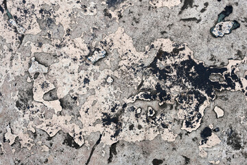 stone wall texture