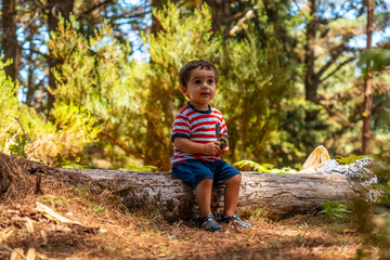 Portrait of a boy sitting on a tree in nature next to pine trees in spring, Madeira. Portugal