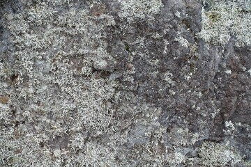 溶岩石の表面、質感、岩肌