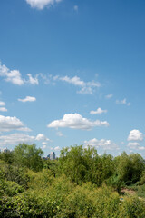 Fototapeta premium blue sky and clouds