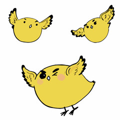 yellow chicken with egg