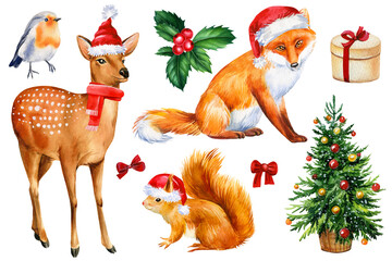 Set of animals in red hat, squirrel, fox, deer and robin bird hand drawn watercolor