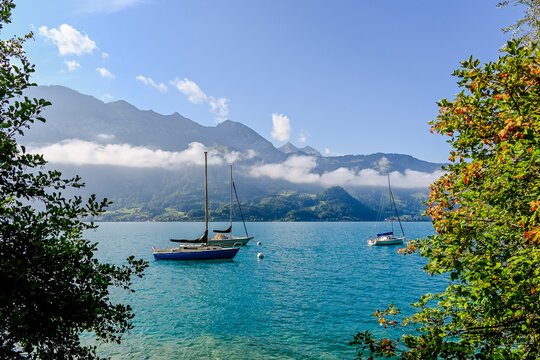 Thunersee, Seeufer, Boote, Segelschiffe, Faulensee, Interlaken, Unterseen, Leissigen, Wassersport, Seerundfahrt, Schifffahrt, Uferweg, Niesen, Alpen, Morgennebel, Sommer, Berner Oberland, Schweiz