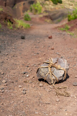 remains of rope tied on a rock, conceptual photo