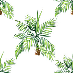 Fototapeta premium Watercolor palm plant seamless pattern on white background. Hand drawing kentia or parlor plant illustration. Perfect for wallpaper, textile, print.