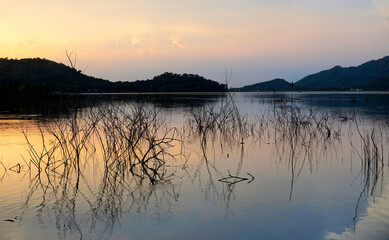 Nice landscape, Silhouette tree with reflection in lake with mountain background