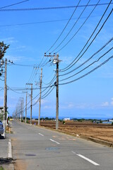電柱と道路