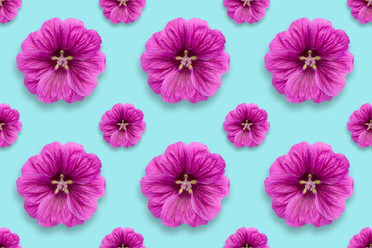 Pattern Of Purple Flowers On A Turquoise Background