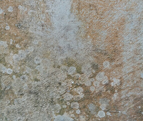 Mossy walls are suitable for your preferred texture for 3d matrial or matrial designs