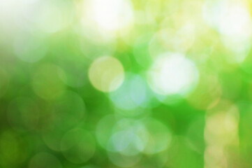green leaves blurred bokeh with sunlight