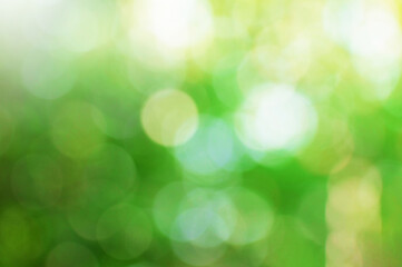 Obraz premium green leaves blurred bokeh with sunlight