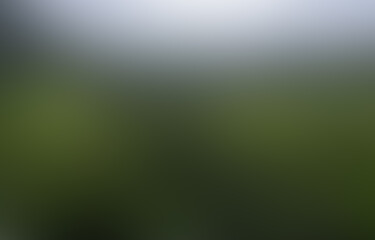 Blurred background of sky, trees. Green environment nature background wallpaper.