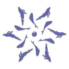 Graphic elements with flowing shapes, creative composition, .smooth forms