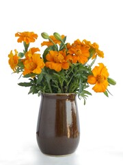posy of tagetes flowers in brown small vase
