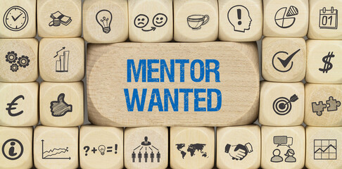 Mentor Wanted