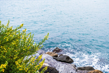 Italian seascape with grassy and rocky shore in the foreground. sea tourism concept