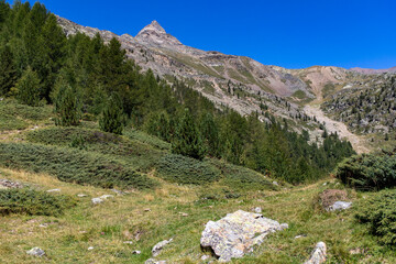 Ötztaler Alpen am Ende des Schnalstals