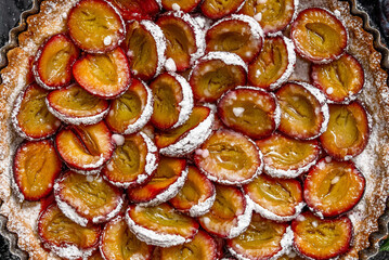 Close up shot of Homemade delicious plum tart with with sugar powder placed on the table