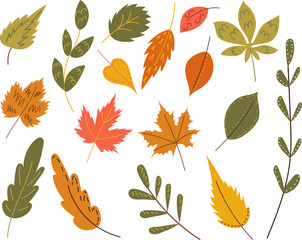 set of leaves, in doodle style, vector
