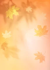 Tuinposter Autumn blurred background with shadow of the maple tree leaves on a wall. Abstract Autumnal scene. © Svetlana Kolpakova
