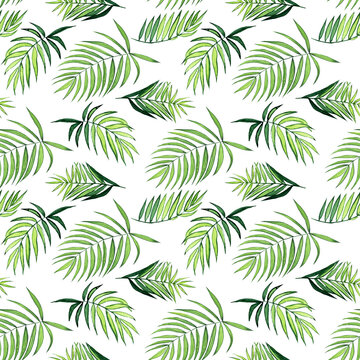 Watercolor palm leaf seamless pattern on white background. Hand drawing kentia or parlor plant illustration. Perfect for home design, print, card.