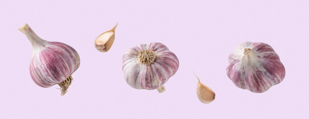 Ripe farm garlic on pastel pink background. Falling isolated garlic from different sides close up view. Creative food concept
