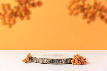 Wood podium saw cut of tree on orange background with  autumn rowan berries. Concept scene stage...