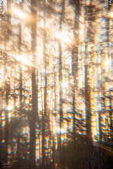 Abstract forest through light prism, vertical background