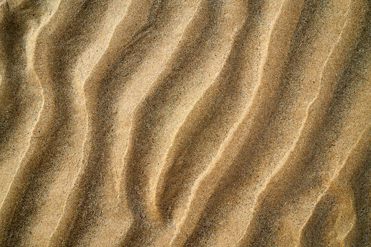 Rippling surface of dry sand