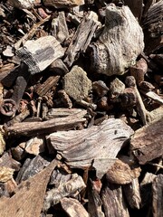 stack of firewood