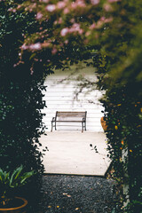 wooden bench in the park