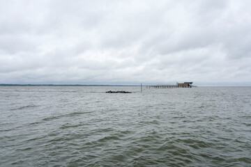 霞ケ浦で盛んな網いけす養殖
